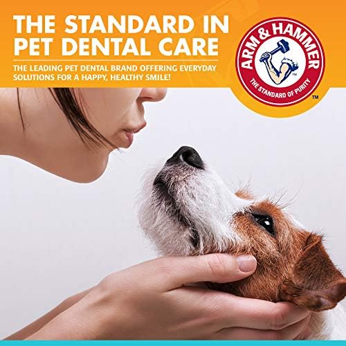 Arm & Hammer Fresh Breath Enzymatic Dog Toothpaste, 2.5 Oz, 72-Pack