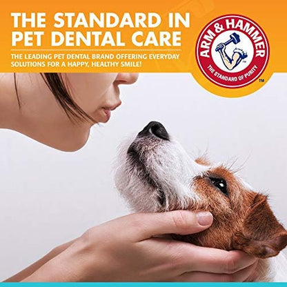 Arm & Hammer Fresh Breath Enzymatic Dog Toothpaste, 2.5 Oz, 72-Pack