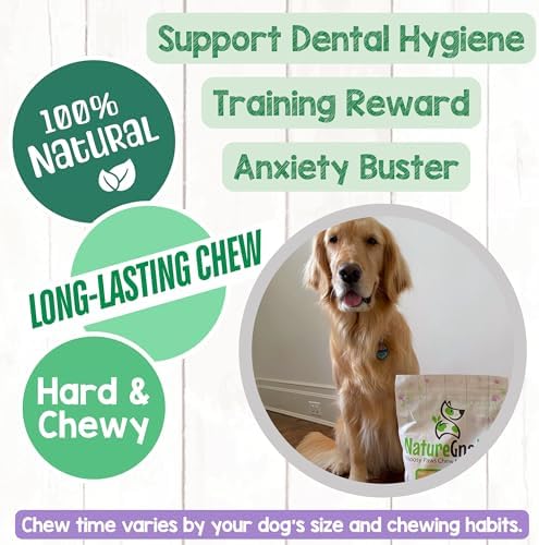 Nature Gnaws Bully Sticks 6" Long Lasting Rawhide Free Dog Chews, 1 lb
