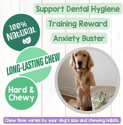 Nature Gnaws Bully Sticks 6" Long Lasting Rawhide Free Dog Chews, 1 lb