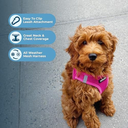 Best Pet Supplies Voyager Step-in Air All Weather Mesh Harness and Reflective Dog 5ft Leash Combo with Neoprene Handle, for Small, Medium and Large Breed Puppies - Fuchsia, Large
