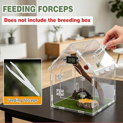 Jumping Spider Enclosure Accessories Kit, 8-in-1 Tarantula Decor Set with Magnetic Ledge, Hide, Food Dish, Thermometer, Branches, Miniatures for DIY Habitat (Tank Not Included)