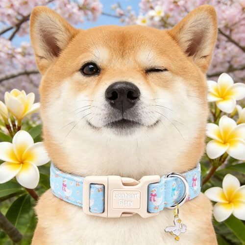 Lionheart glory Dog Collar - Spring Cute Dog Collars Sturdy Adjustable Soft Collar Blue Ducky Pattern for Medium Dogs Male Female Holiday Pet Collars