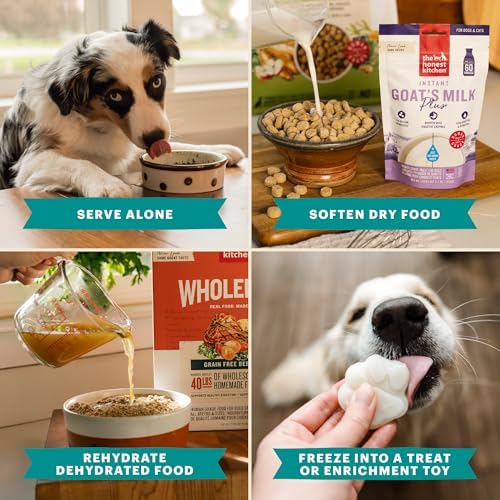 The Honest Kitchen Instant Beef Bone Broth for Dogs & Cats with Turmeric, Human Grade Pet Food, Hydration Supplement, Digestive & Joint Support, Meal Topper, Treat or Enrichment, 6.5 oz Makes 115 oz