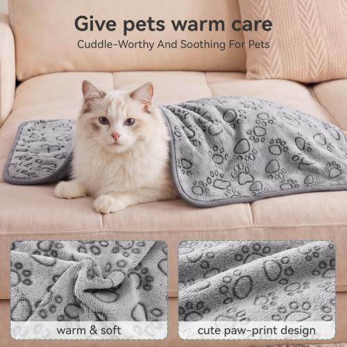 Sieidihit Dog Cat Playpen Tent Crate Cage with Blanket, Small Grey