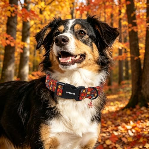 DOGWONG Fall Dog Collar Girl, Fall Autumn Maple Dog Collar Boy,Comfortable Fall Dogs Collars for Small Medium Dogs, Neck 14-21 inches