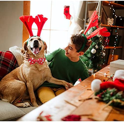 Lionheart Glory Christmas Dog Collar - Santa Print Bow Tie Collar for Medium Dogs