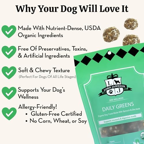 Lord Jameson Daily Greens Soft & Chewy Organic Dog Treats - Digestion Supporting Spinach, Dandelion, & Ginger - No-Bake, Gluten-Free, Preservative-Free, USDA Certified Organic - Made In USA 6 oz