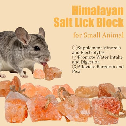 Hamiledyi 16 PCS Rabbit Salt Lick Block Natural Small Animal Himalayan Salt Lick Chew Toys with Hanging Rope Rat Mineral Block Chew Treat Supplies for Bunny Guinea Pig Chinchilla Ferret Hametsr
