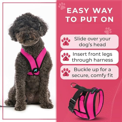 Gooby Comfort X Head-in Dog Harness, Choke-Free, Flamingo Pink, Large