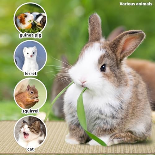 2Pcs Rabbit Scratch Mat,16 x 12 Inch Sisal Rabbit Scratching Pad