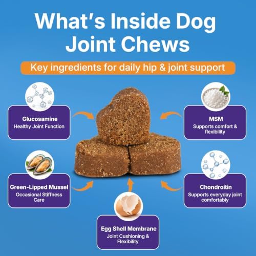 Dog Joint Supplement, Hip and Joint Supplement with Glucosamine Chondroitin