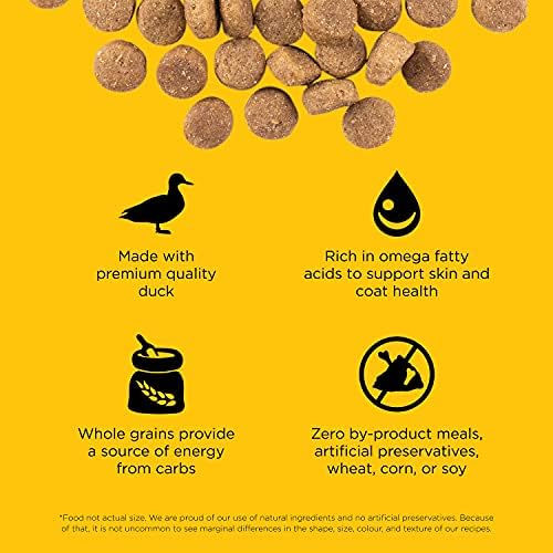 Go! Solutions Skin + Coat Care Duck Dry Dog Food with Grains, Chicken-Free, Healthy Kibble with Omega-3s & 6s for Soft, Shiny Fur, for Puppies, Adults, & Seniors, 3.5 lb Bag