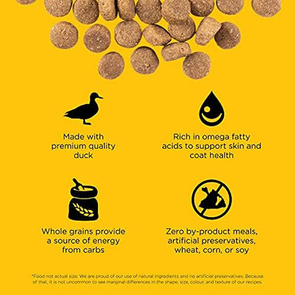 Go! Solutions Skin + Coat Care Duck Dry Dog Food with Grains, Chicken-Free, Healthy Kibble with Omega-3s & 6s for Soft, Shiny Fur, for Puppies, Adults, & Seniors, 3.5 lb Bag