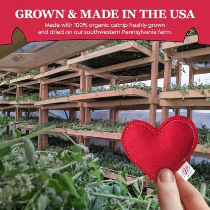 Catnip Toy – Heart Shape, Organic Catnip, 100% Wool Felt, Grown & Made in The USA - Red