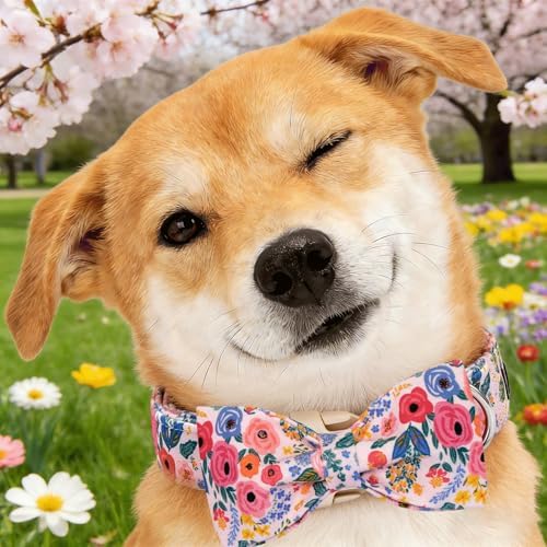 Dog Collars, Spring Blue Flower Print Cotton Collar Light Pink Adjustable Light Plastic Buckle Collar with Bow Pet Collar Gift for Medium Dogs
