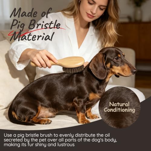 Soft Boar Bristle Short Hair Dog Brush, Fit Puppy, Kittens, Small Pets