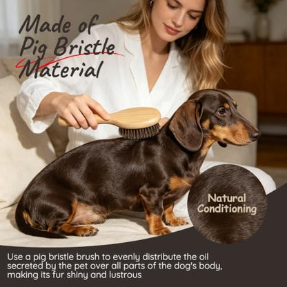 Soft Boar Bristle Short Hair Dog Brush, Fit Puppy, Kittens, Small Pets