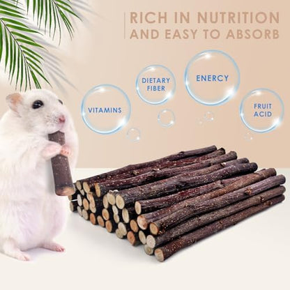 Bissap Apple Sticks for Rabbits, Natural Bunny Chew Toys and Treats for Chinchilla Guinea Pig Hamster Gerbil Small Animals Pet Apple Wood Stick Toys Teeth Grinding (230g/8.1oz)