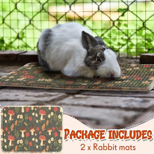 Drydiet 2 Pcs 16 x 12 in Rabbit Mat Scratch Pad Bunny Chew Toy Cage Bedding