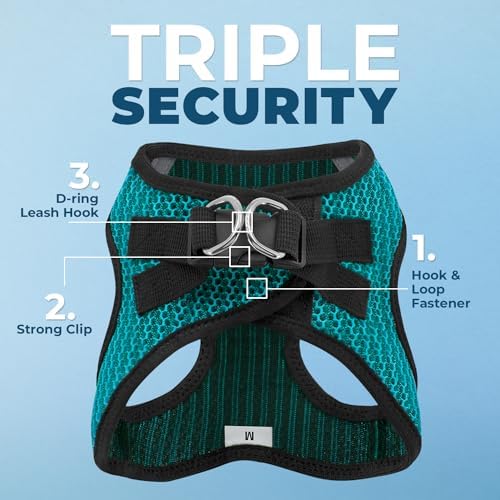Best Pet Supplies Voyager Step-in Air All Weather Mesh Harness and Reflective Dog 5ft Leash Combo with Neoprene Handle, for Small, Medium and Large Breed Puppies - Turquoise 2-Tone, Small