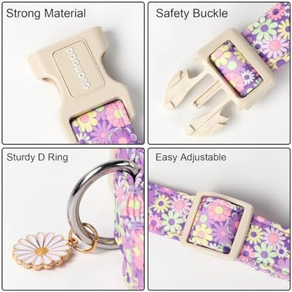 DOGWONG Flower Dog Collar, Girl Daisy Dog Collar Durable Ice Cream Pet Dog Collars Cute Summer Beach Puppy Necklace for Small Medium Large Dogs