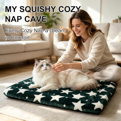 Dog Bed Mat, Reversible Crate Pad & Cute Dog Bed - Machine Washable Kennel Mat with Ultra Soft (Big&Small Stars Green, 18" L x 14" W x 1.5" Th)