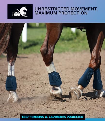 4/Pack Horse Jumping Boots, Open Front & Fetlock Boots for Jumping
