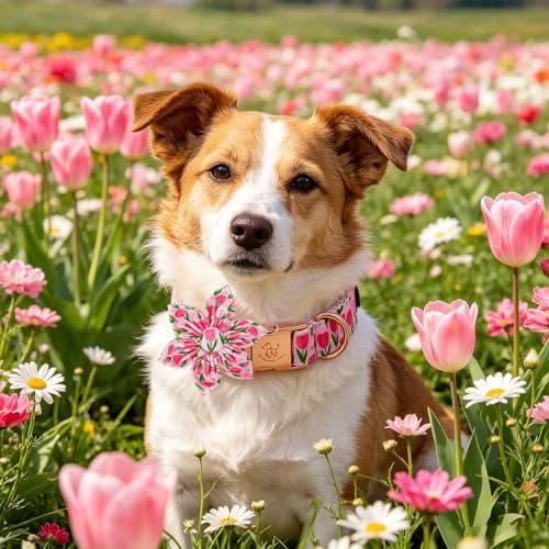 Elegant little tail Dog Collar with Flower, Pink Flower Girl Pet Collars for Female Dogs Floral Pet Adjustable Puppy Collars with Flowers for Small Medium Large Dogs