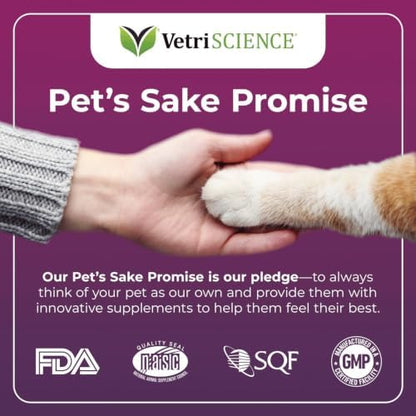 VetriScience Ultimate Strength Lysine Powder for Cats, Chicken, 60ct