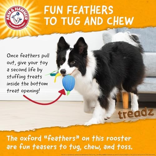 Arm & Hammer Super Treadz Baking Soda Dental Dog Chew Toy, Large, Rooster