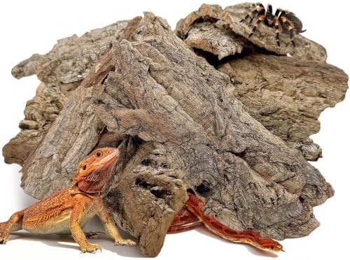 BNOSDM Reptiles Cork Bark Substrate,0.7lb Bearded Dragon Champagne Cork Bark Flats Hide Climbing,Reptiles Wood Bedding Terrarium Decor Tank Accessories for Lizards Snake Gecko Tarantula Isopods（L）
