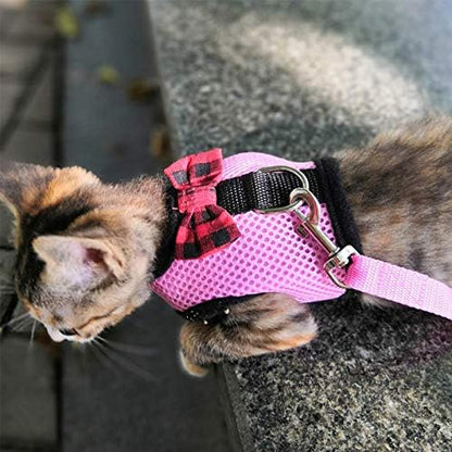 Animal Harness and Leash, 2pcs Ferret Harness No Pull Mesh Pink Blue,M