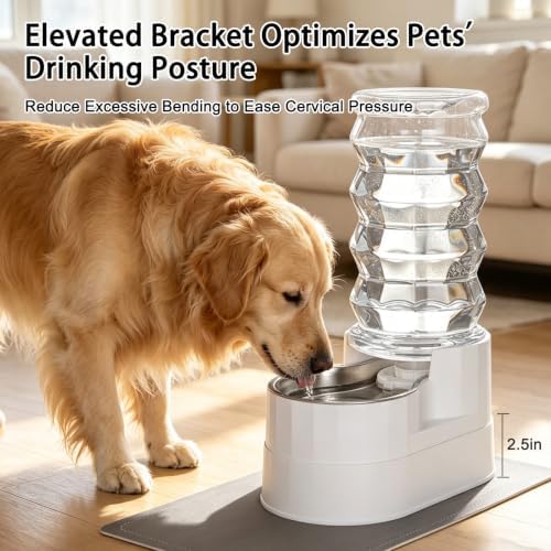 RIZZARI 8L Elevated Dog Water Dispenser: Senior Pets Filtered Hydration
