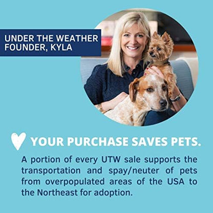 Under the Weather Pet | Ready Balance for Dogs | Oral Probiotic and Prebiotic Gel