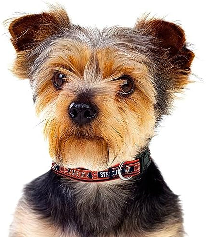 Pets First Collegiate PET Collar NEW VERSION Syracuse Orange Dog Collar, Size Small. Best Sports Team Color for Dogs & Cats. A Shiny & Colorful Dog & Cat Collar Licensed by The NCAA