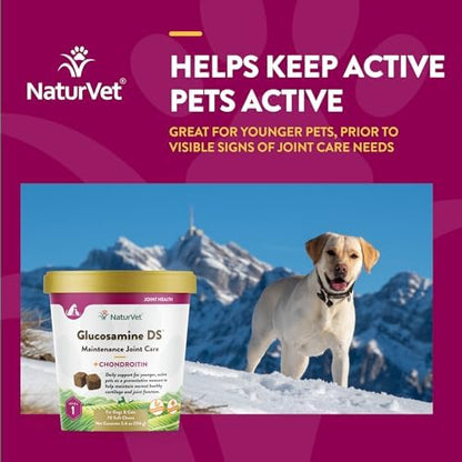 NaturVet Maintenance Joint Care with Chondroitin, Dogs & Cats, 70ct