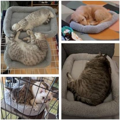 LESYPET Cat Bed for Indoor Cats, Cat Bed Curl Sleep Cushion with Raised Pillow Around, Washable Pet Mat for Cat/Rabbit/Dog, 16" x 22"