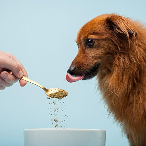 The Missing Link Pet Kelp Dog Probiotic Organic Supplement Powder, 8 oz