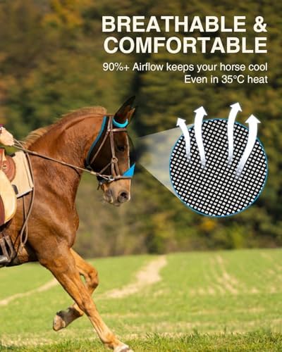 Hilltown Fly Mask for Horse with Ears - X-Full, Blue
