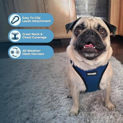Voyager Step-in Air Dog Vest Harness - Blue/Black Trim, Large