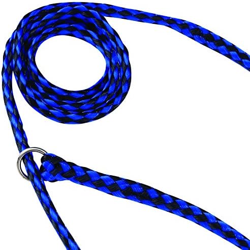 Guardian Gear Animal-Control O-Ring Slide Leads, 5' Long x ⅝" Wide, 12-Pack, Assorted Colors