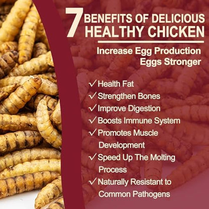 DE AVILA Dried Black Soldier Fly Larvae for Chickens, BSFL High Calcium Treat 10LB