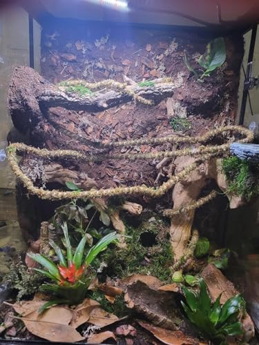 Galápagos (05346) Mossy Cave Hide, 4", Green