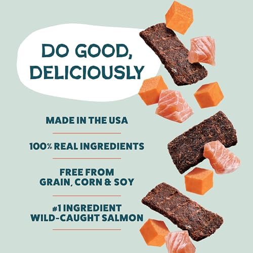 Shameless Pets Jerky Dog Treats, Salmon Loves Butternut - Healthy Dog Chews for Dogs Skin & Coat with Omega 3 & 6 - with Real Wild-Caught Salmon - Free from Grain, Corn & Soy - 1-Pack