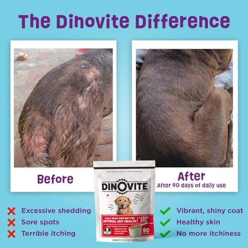 Dinovite Probiotics for Large Dogs, Probiotic Food Topper, 90 Servings