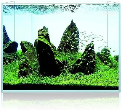 LYPHARD AQUARIUMS 2.5 Gallon Rimless Aquarium Tank, Ultra Clear Low Iron Nano Fish Tank for Betta Shrimp, L11.8×W5.5×H9.8 Glass Thickness 5mm with EVA Foam Leveling Mat