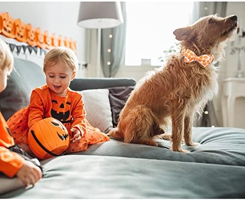 Lionheart Glory Halloween Dog Collars - Adjustable Heavy Duty Bowtie Collar for Large Dogs