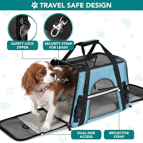 PetAmi Airline Approved Pet Carrier for Cats & Small Dogs, Large Light Blue