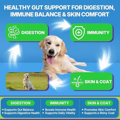 Probiotics for Dogs, Dog Probiotics for Yeast, Itchy Skin and Itchy Ears